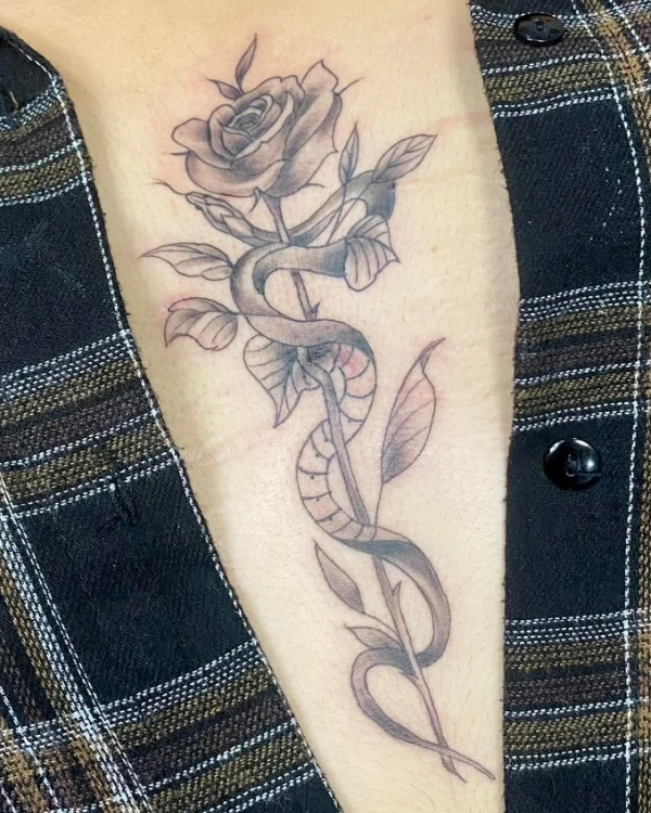 ลายสักฟายน์ไลน์แบล็คเวิร์ก (rose and snake tattoo)